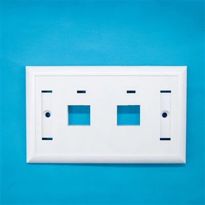 2 Port Network Faceplate Wall Plate