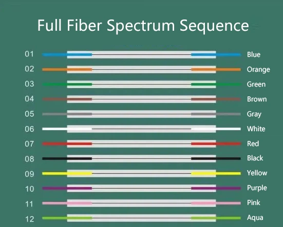 The color coding of bundled tails generally follows the standard color spectrum sequence. The color coding of bundled tails generally follows the standard color spectrum sequence.
