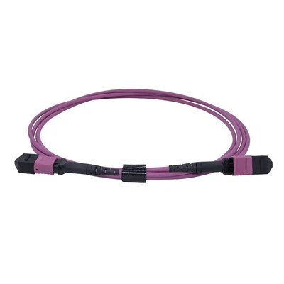 3m LSZH OM4 12-Core Multimode Fiber Optic MPO Patch Cord