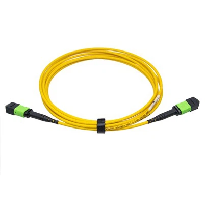 SM 12-Fiber MPO Patch Cord Singlemode Pre-Terminate Trunk Cable