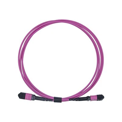 3m LSZH OM4 12-Core Multimode Fiber Optic MPO Patch Cord